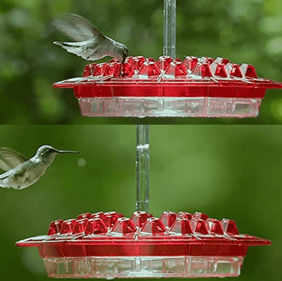 Hummingbird Feeder Outdoor Ant-Resistant Hanging Feeder with Multi-Port Tray
