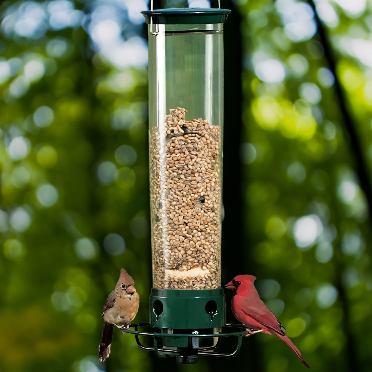 Anti Squirrel Bird Feeder Hanging Garden Feeder with Spinning Perch