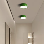 Contemporary LED Ceiling Lamp Adjustable Glow