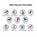 Anti Squirrel Bird Feeder Hanging Garden Feeder with Spinning Perch