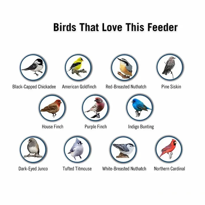 Anti Squirrel Bird Feeder Hanging Garden Feeder with Spinning Perch