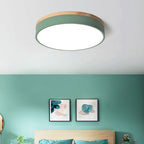 Modern Round Ceiling Light Dimmable Indoor LED Fixture