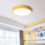 Modern Round Ceiling Light Dimmable Indoor LED Fixture