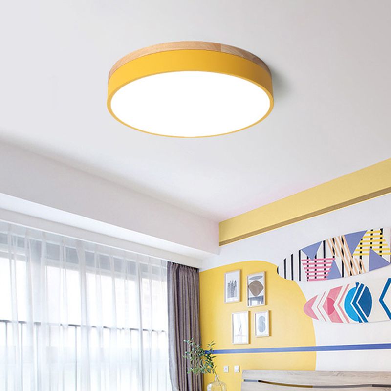 Modern Round Ceiling Light Dimmable Indoor LED Fixture