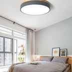 Modern Round Ceiling Light Dimmable Indoor LED Fixture