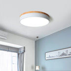 Modern Round Ceiling Light Dimmable Indoor LED Fixture