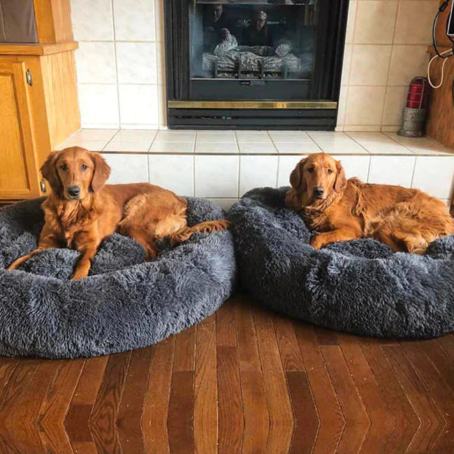 Calming Dog Beds with Orthopedic Support
