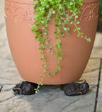 Decorative Animal Plant Pots Holders Set
