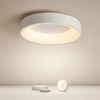 Modern Round Ceiling Light Low-Profile Lighting for Home Interiors