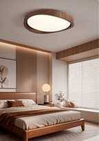 Curved Edge Ceiling Lights for Modern Interiors