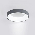 Modern Round Ceiling Light Low-Profile Lighting for Home Interiors