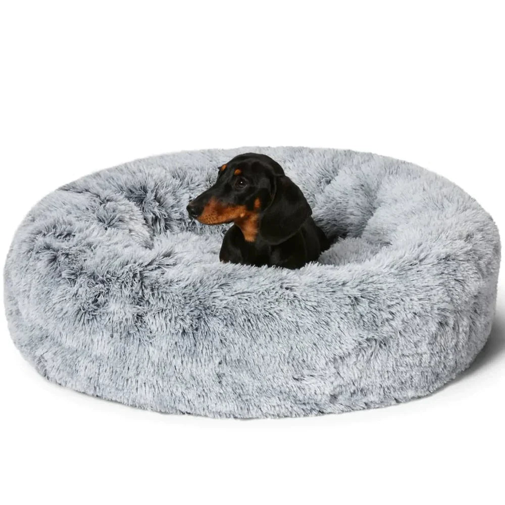 Calming Dog Beds with Orthopedic Support