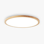 Versatile Minimalist Dimmable LED Ceiling Light for Home