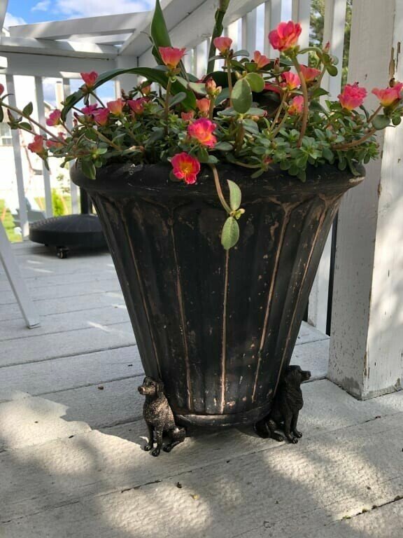 Decorative Animal Plant Pots Holders Set