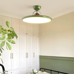 Flush Mount Ceiling Light Modern Elegant Low Ceiling Fixture