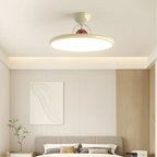 Flush Mount Ceiling Light Modern Elegant Low Ceiling Fixture - Image 4