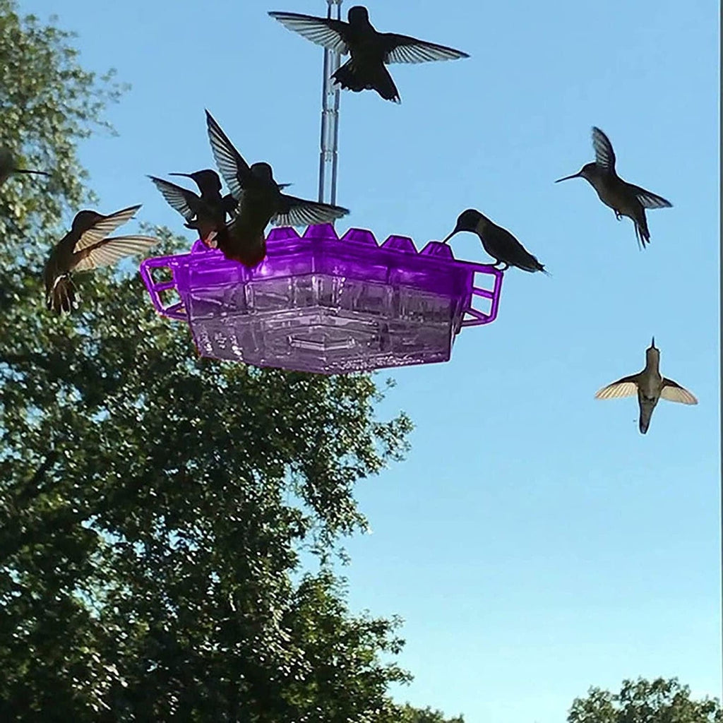 Hummingbird Feeder Outdoor Ant-Resistant Hanging Feeder with Multi-Port Tray
