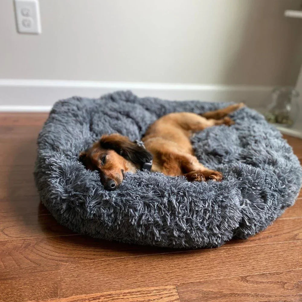 Calming Dog Beds with Orthopedic Support
