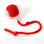 Smart Cat Toy with Tail Motion Indoor Fun
