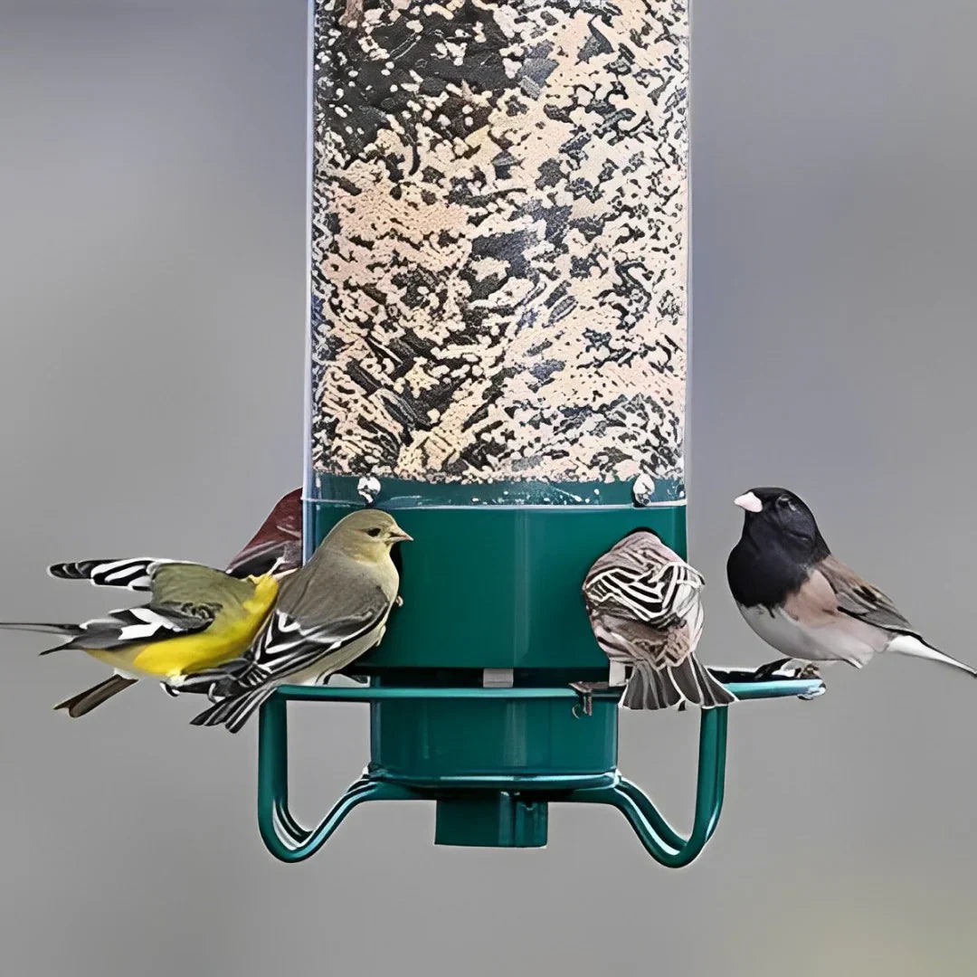 Anti Squirrel Bird Feeder Hanging Garden Feeder with Spinning Perch