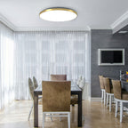 Modern Round Ceiling Light LED Flush Mount Fixture
