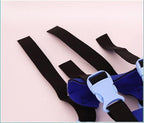 Protective Guide Harness for Blind Dogs Mobility Support