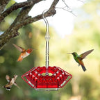 Hummingbird Feeder with Ant Moat Outdoor Hanging Garden Feeder
