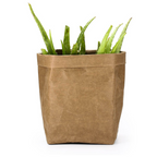 Sustainable Decorative Plant Pots Collection