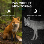 HD Trail Camera with 16MP Photos & 1080P Video
