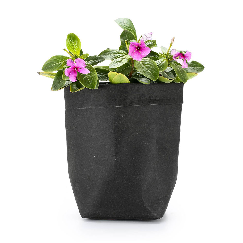Sustainable Decorative Plant Pots Collection