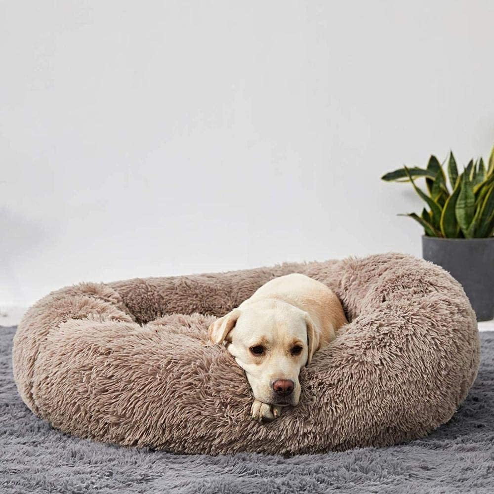 Calming Dog Beds with Orthopedic Support