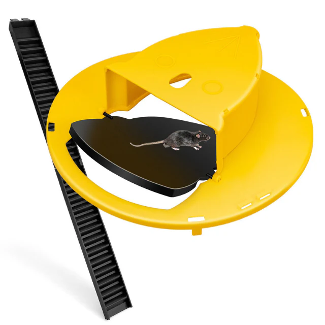 Humane Bucket Rodent Trap Reusable Mouse and Rat Control Solution