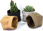 Sustainable Decorative Plant Pots Collection