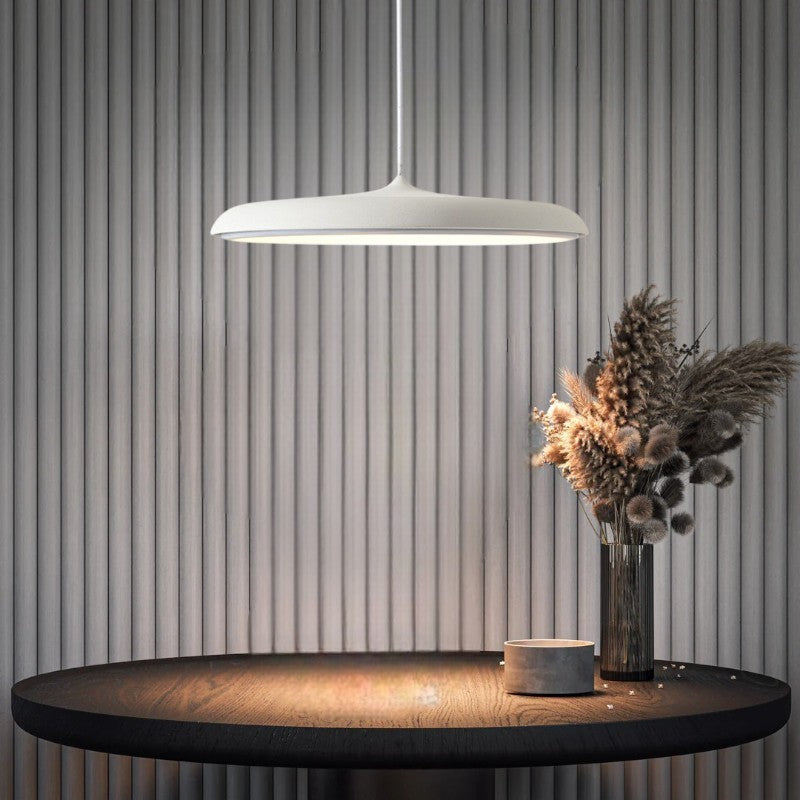 Scandinavian LED Pendant Light Modern Minimalist Ceiling Lighting