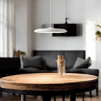 Scandinavian LED Pendant Light Modern Minimalist Ceiling Lighting