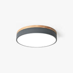 Modern Round Ceiling Light Dimmable Indoor LED Fixture