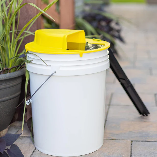 Humane Bucket Rodent Trap Reusable Mouse and Rat Control Solution