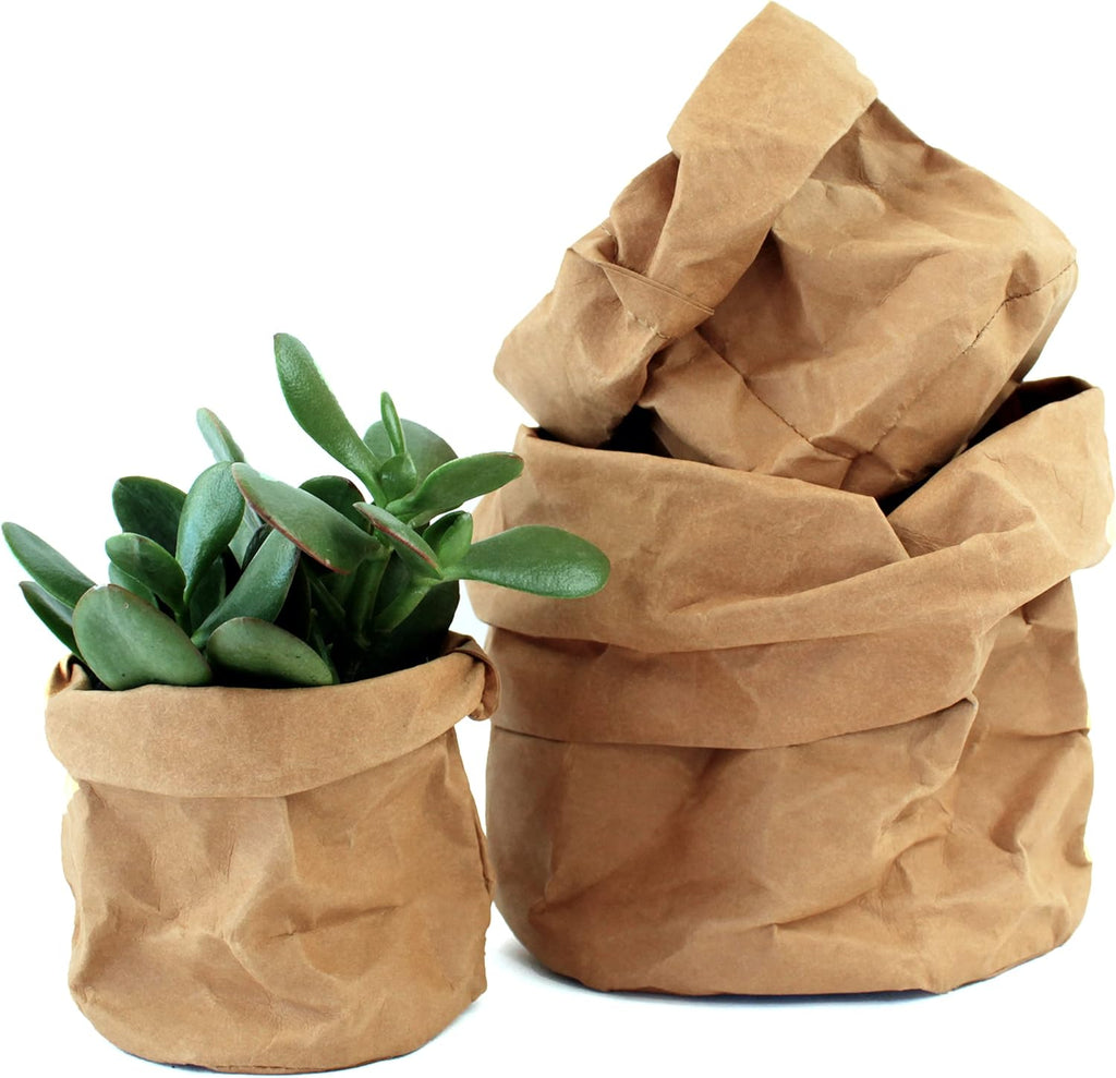 Sustainable Decorative Plant Pots Collection