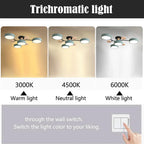 Modern Ceiling Light LED Flush Mount Bright Contemporary Fixture