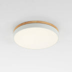 Modern Round Ceiling Light Dimmable Indoor LED Fixture