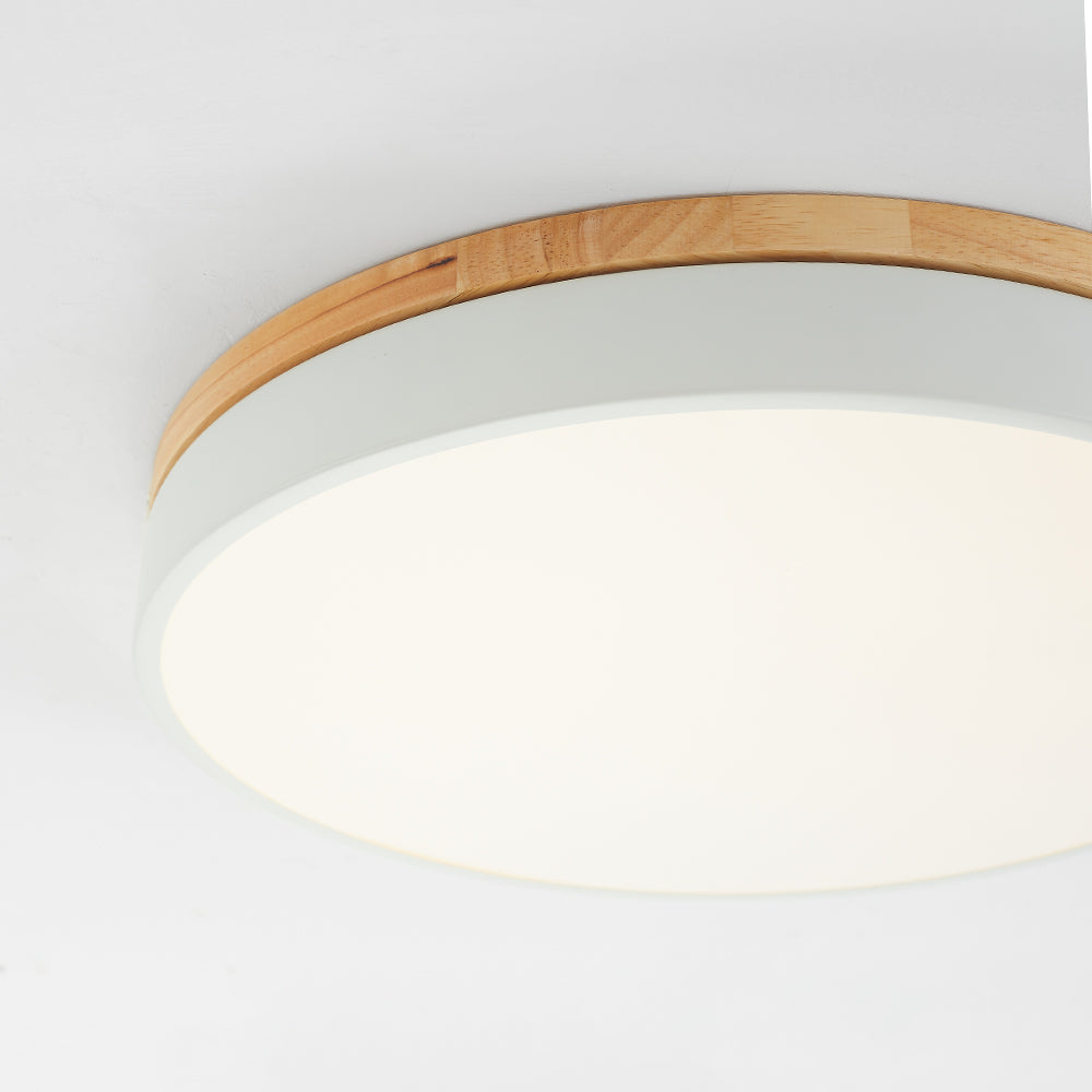 Modern Round Ceiling Light Dimmable Indoor LED Fixture