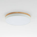 Modern Round Ceiling Light Dimmable Indoor LED Fixture
