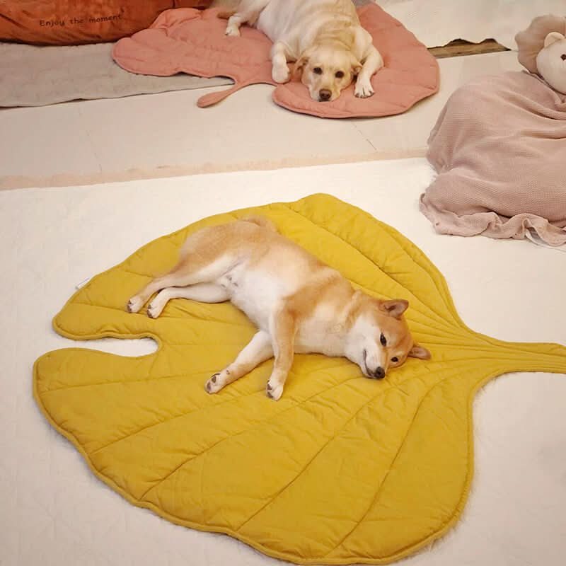 Leaf‑Shaped Dog Beds & Pet Mats