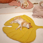 Leaf‑Shaped Dog Beds & Pet Mats