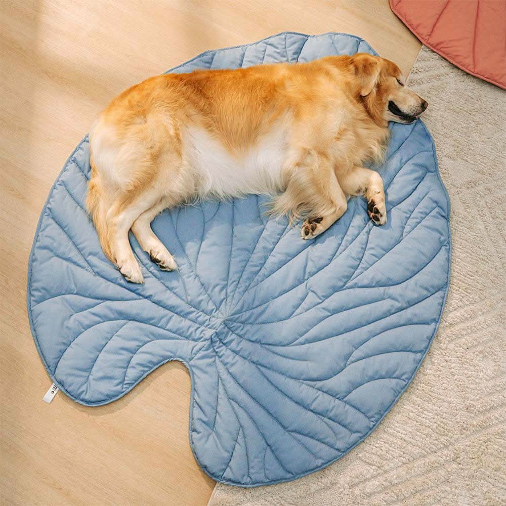 Leaf‑Shaped Dog Beds & Pet Mats