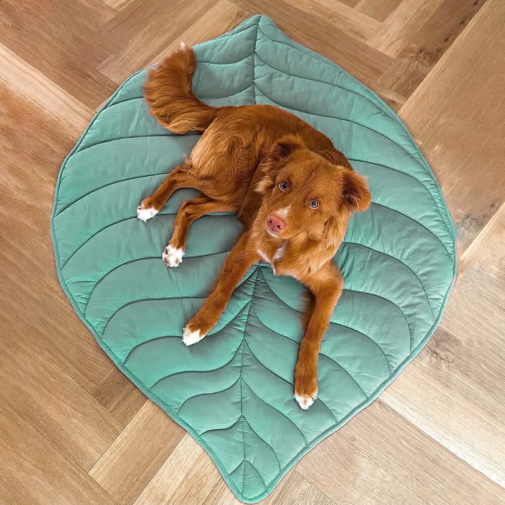 Leaf‑Shaped Dog Beds & Pet Mats