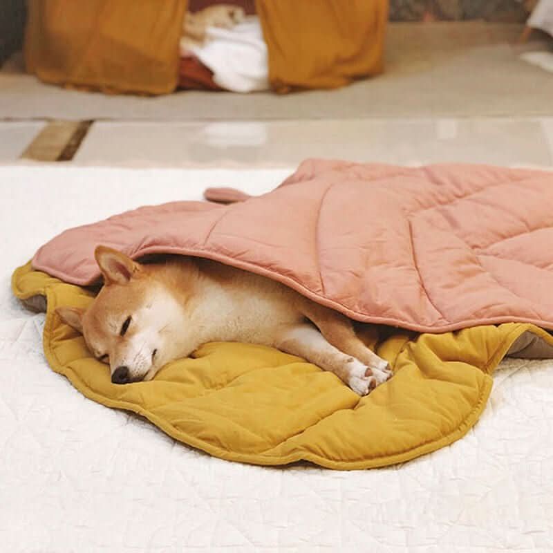 Leaf‑Shaped Dog Beds & Pet Mats