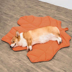 Leaf‑Shaped Dog Beds & Pet Mats