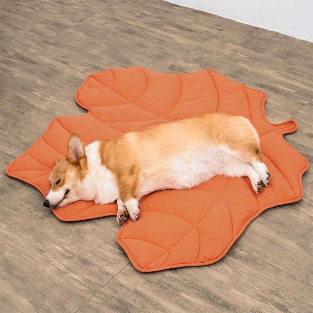 Leaf‑Shaped Dog Beds & Pet Mats