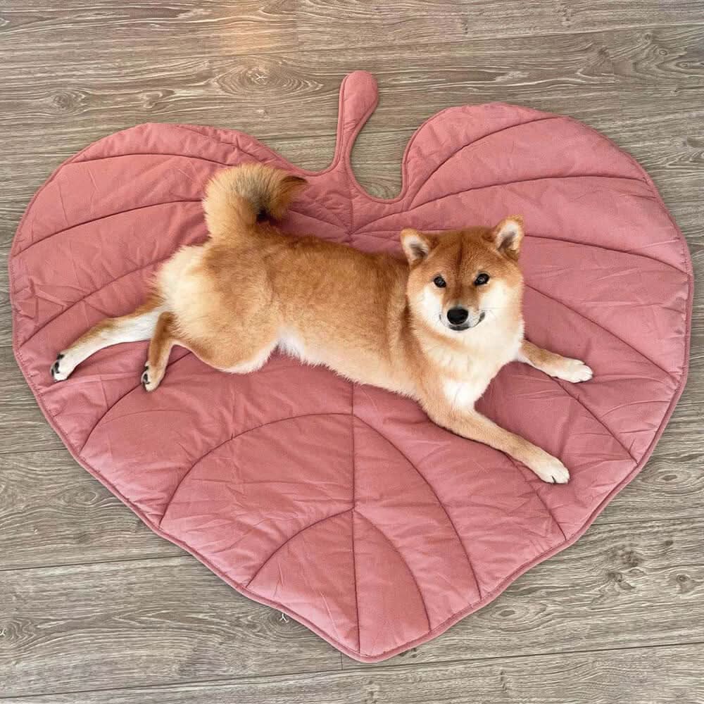 Leaf‑Shaped Dog Beds & Pet Mats